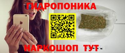 Альфа ПВП Ипатово