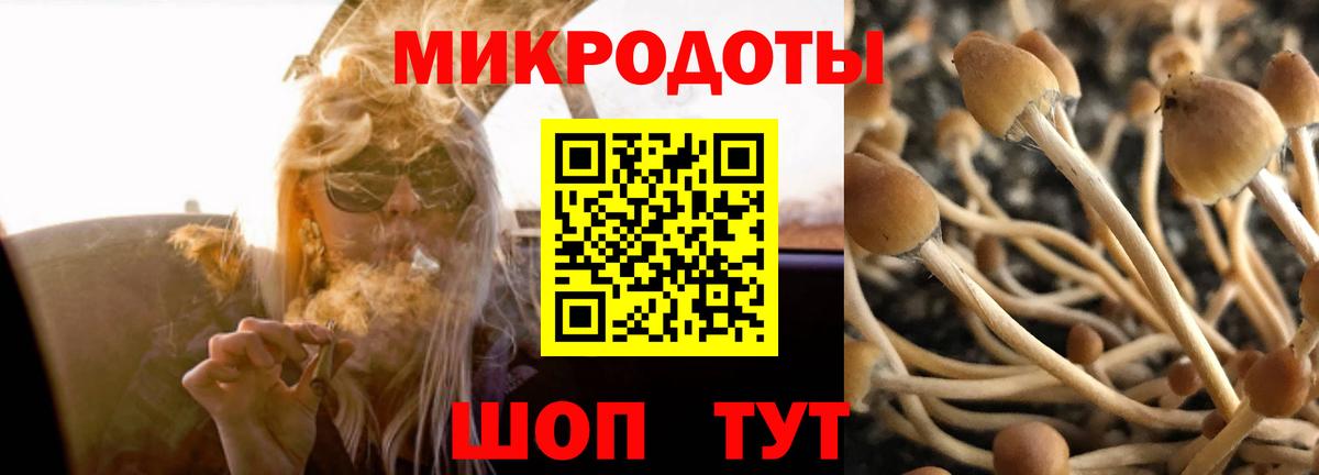 Псилоцибиновые грибы мухоморы  Вход с VPN  Кудрово  Псилоцибиновые грибы MAGIC MUSHROOMS 