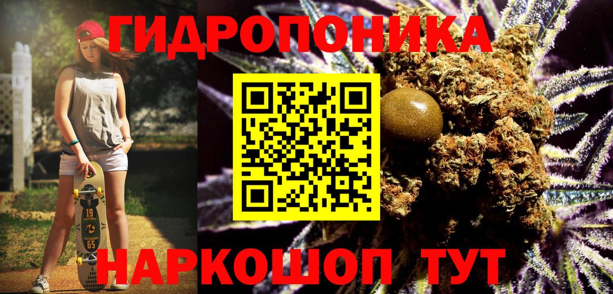Марихуана Bruce Banner  Марихуана VHQ  Кудрово  Вход с VPN  Каннабис планчик  Канабис семена 